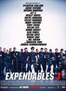 Expendable 3
